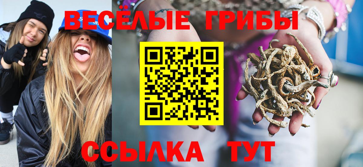 Конопля Курск
